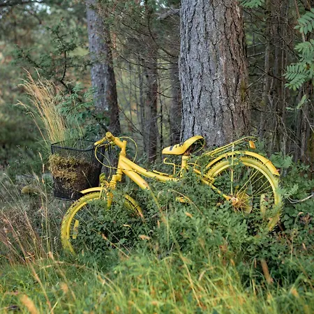 Ferienhaus Solbakken By Interhome Gjolanger