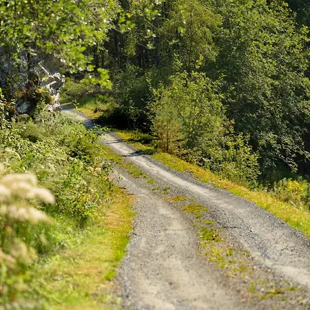 Solbakken By Interhome * Gjolanger